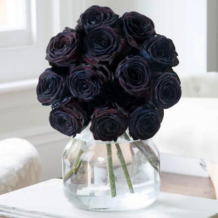 Black roses